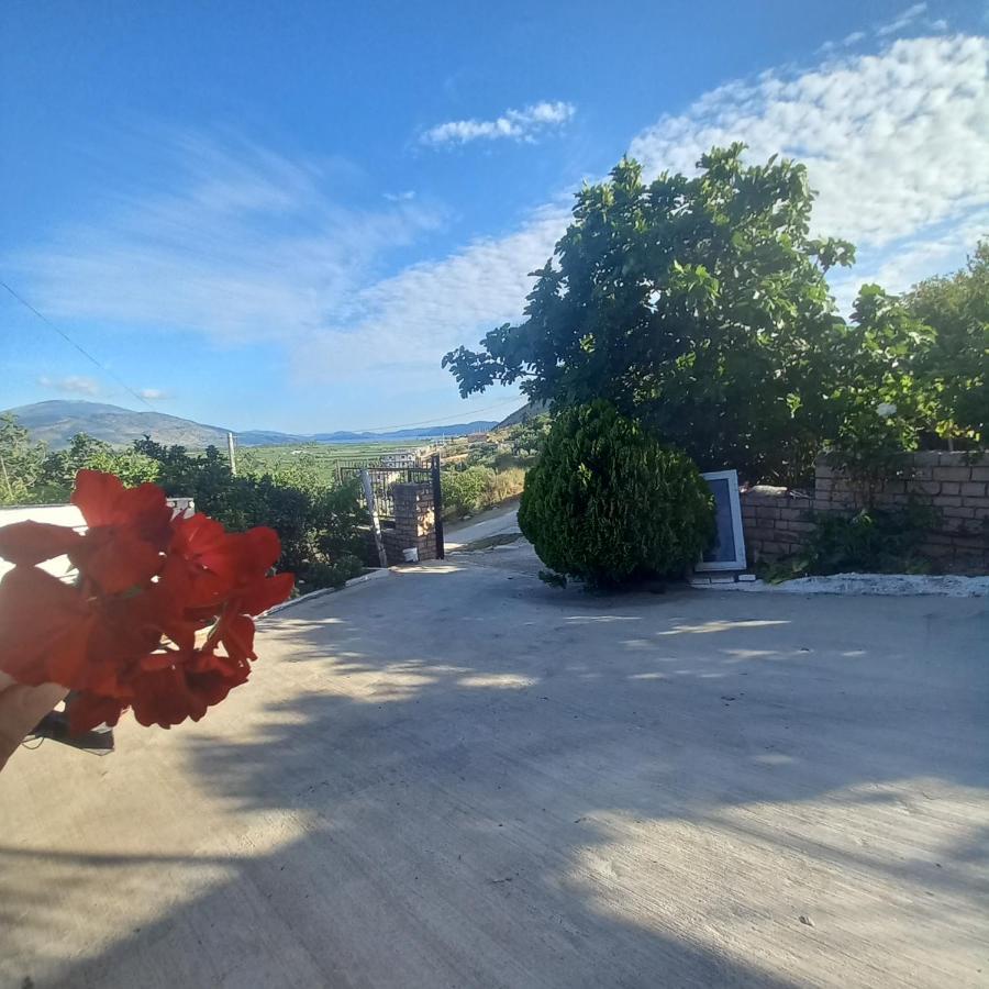 Pasha Holiday home Sarande
