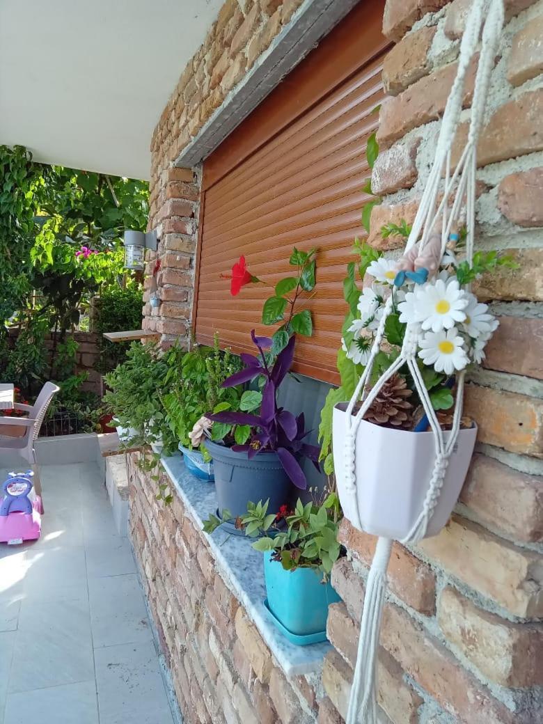 Pasha Holiday home